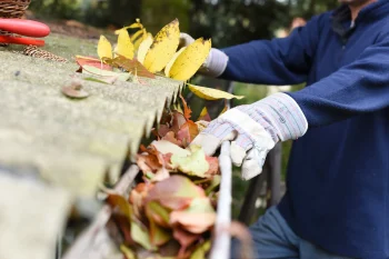 AdobeStock_226741775 AdobeStock_226741775